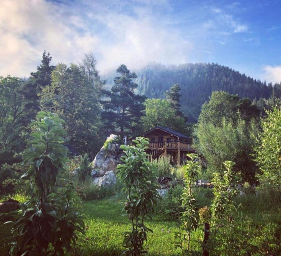 Casa Baciu Hotel Fundu Moldovei Exterior foto